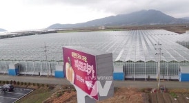 강진군, 아트팜 영농형 태양광·AI 결합... 탄소중립 스마트농업 본격화