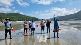 전남광주통합특별시, '임자만났네' 띄우고... 완도수목원 19명 배출