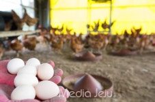 안전한 먹거리, 해답은 자연 방사에 있다