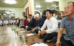 원희룡 지사 가시리 유채꽃 축제, 내년부터 행정이 주최하겠다