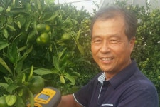 발상의 전환·차별화 노력 최고품질 감귤 생산…감귤재배 명인