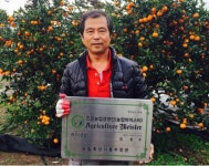 발상의 전환·차별화 노력 최고품질 감귤 생산…감귤재배 명인
