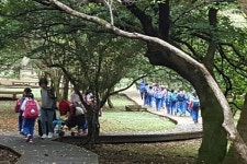 절물자연휴양림 이용객 2년 연속 70만 명 넘었다