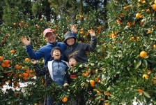 모두가 풍요로운 제주 팜 라이프 꿈꾸는 삶과 맛을 철학하는 농부