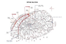 아직도 갈 길 먼 제주의병항쟁 독립 영웅 찾기