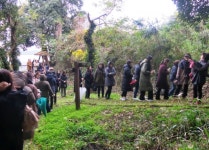 숲속에서 뛰놀던 추억, 우리 아이에게 선물할래요