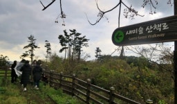 숲속에서 뛰놀던 추억, 우리 아이에게 선물할래요