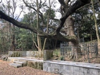 마을 주민들이 지켜온 한남리 본향당, 향토유형유산 지정