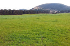 개정 초지법 11일부터 시행 편법적 2차 전용 사라질까