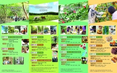 마을로 떠나는 제주 로캉스 운영