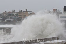 태풍 마이삭 접근 제주 강풍 피해 속출
