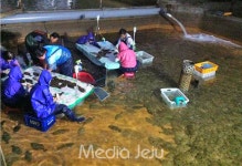 세븐일레븐제주광어가공유통센터점 | 제주광어 판로 확대 '가공·유통센터' 내년 11월 준공