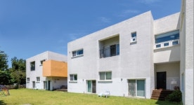 JEJU AINEE