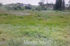 제주도 내륙·연안습지 보호대책 마련해야