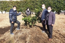 서귀포농업기술센터 금물과원(禁物果園) 식구가 늘었어요