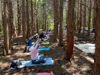 코로나19 시대, 숲에서 산림치유가 최고