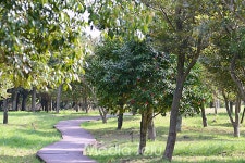 제주도 한라생태숲 탐방 편의시설 보완사업 마무리