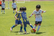 위너FC, 제14회 미디어제주기 전도유소년축구대회 정상 등극