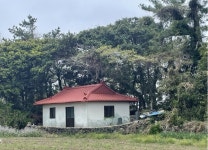 그리운 표선백사장 길 따라