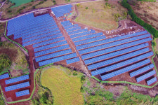 감귤농사보다 수익 2.6배 제주도의 홍보, 결과는 경제적 피해?