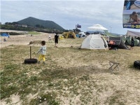 제주 해안사구에는 그들이 살고 있다