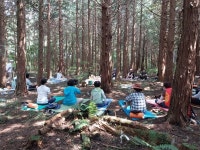 제주산림욕을 무료로 마음껏 즐기세요