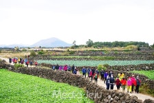 제주밭담과 함께하는 힐링 제주 플랫폼 사업 본격화