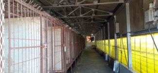 개 사육농장 첫 합동점검, 미준공 시설 등 줄줄이 적발