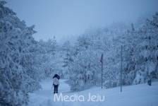 폭설 속 일주일만에 열린 한라산, 아름다운 설국 풍경 펼쳐져