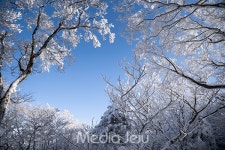 폭설 속 일주일만에 열린 한라산, 아름다운 설국 풍경 펼쳐져