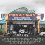 영등바람 타고 오는 제주 봄의 향연