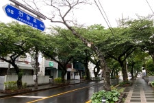 제주시 관통 전농로가 그리는 보행자 우선도로 모습은?