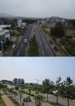 제주시, 연북로 도시바람길숲 조성사업 이달 말 마무리