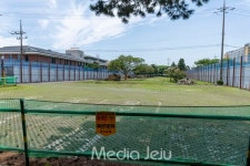 서귀포시민들이 얻는 것은 녹음과 새소리 대신 소음과 매연