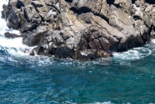 산책하다가 미끌 해상으로 추락한 70대, 해경에 구조