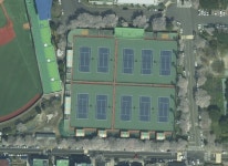 연정정구장이 윔블던 구장쯤 되는가 봐요