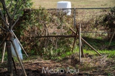 7년 6개월만에 마무리된 비자림로 확장 ... 해소 안된 과제도 산적