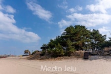 훼손·개발에 노출 ... 그럼에도 수많은 가치 지닌 제주 해안사구