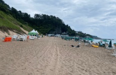 생명이 단절된 제주 해안사구, 이를 구하는 것도 한 걸음부터