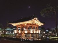 전일목재산업(주)(1종) | 전일목재산업, 백제의 '하앙식' 구조 재현