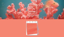 산호초의 색 리빙 코랄을 활용한 홈스타일링