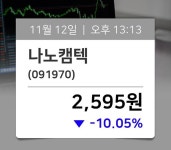 [거래소 소식] 나노캠텍(091970), 지금거래가 2,595원…매매동향