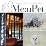 미유펫 강아지분양, 고양이분양 시 전문적인 지원 서비스 실행