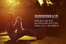 인천강아지분양 요기독 인천부평지점 오픈할인행사 이벤트 실시