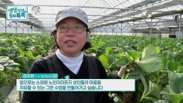 딸기 따고 마음 치유하는 이색 체험 농장 수향농원 … 가족 나들이 코스로 제격