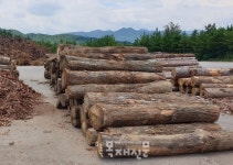 국산원목 부족으로 공장 가동율 낮아져