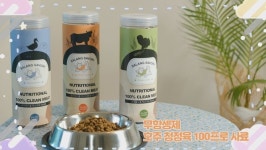 구름애견, 강아지사료 살랑사보리 출시, 할인 이벤트 진행