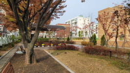 꿈과 놀이가 있는 우리 학교숲, 분야별 최우수상은?