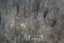 백령제재소(2종) | 호주 제재소, 목재 수급에 난항