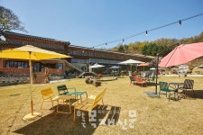 파주시, 비무장지대(DMZ) 평화의 길 테마노선 파주 구간 10월 말까지 운영